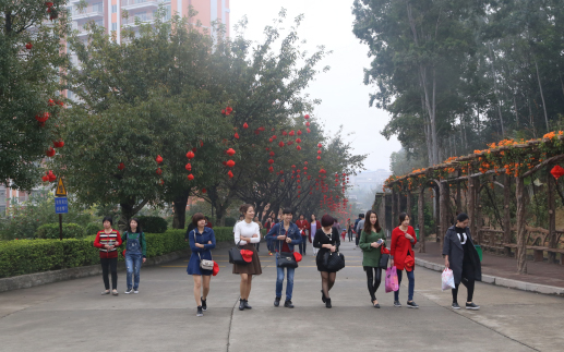 Hiking under Spring Sunlight, Traveling on Women’s Day in Delight